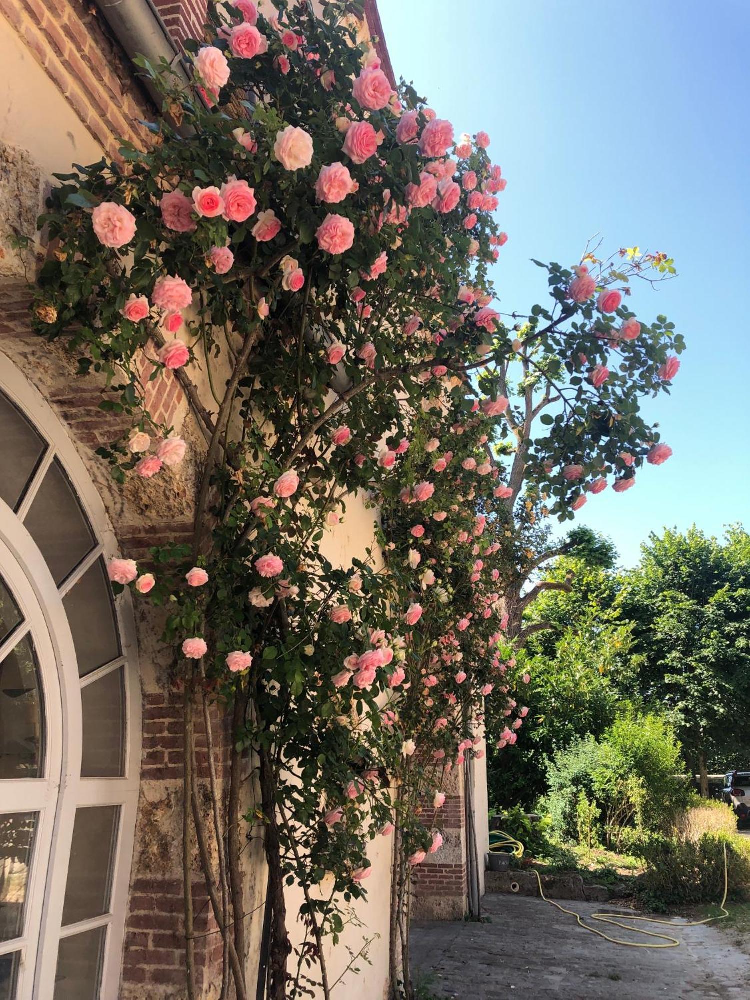 Chateau De La Cour Senlisse 外观 照片